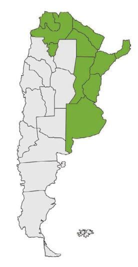 Ceibo - Flor Nacional Argentina