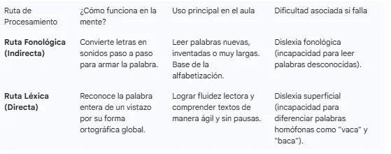 doble ruta en la lectura