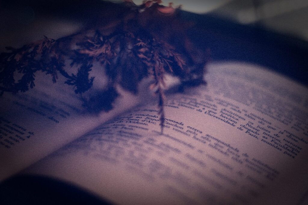 Elegía