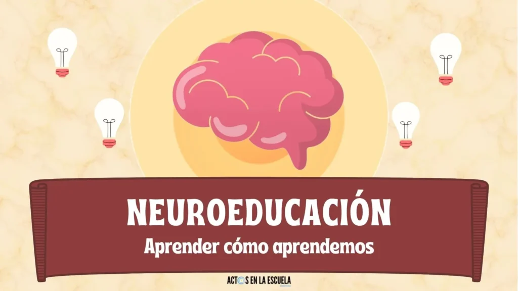 Qué es la neuroeducación