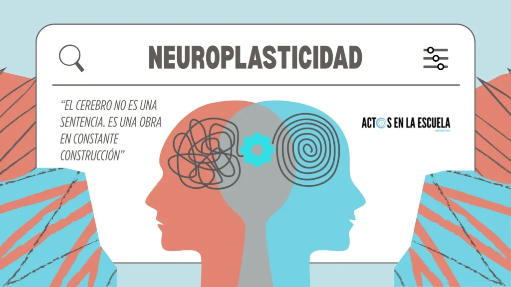 Qué es la neuroplasticidad