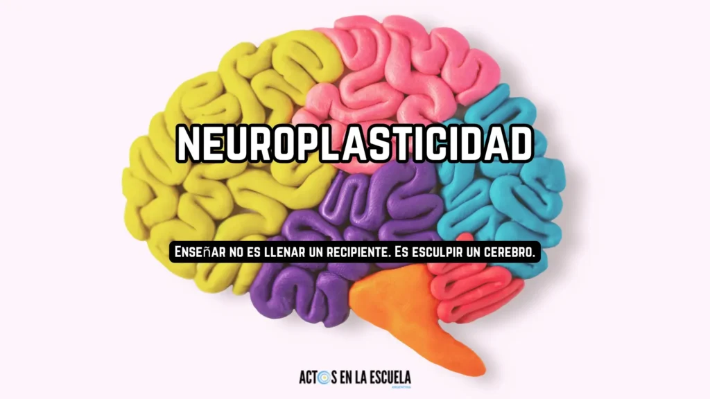 Neuroplasticidad