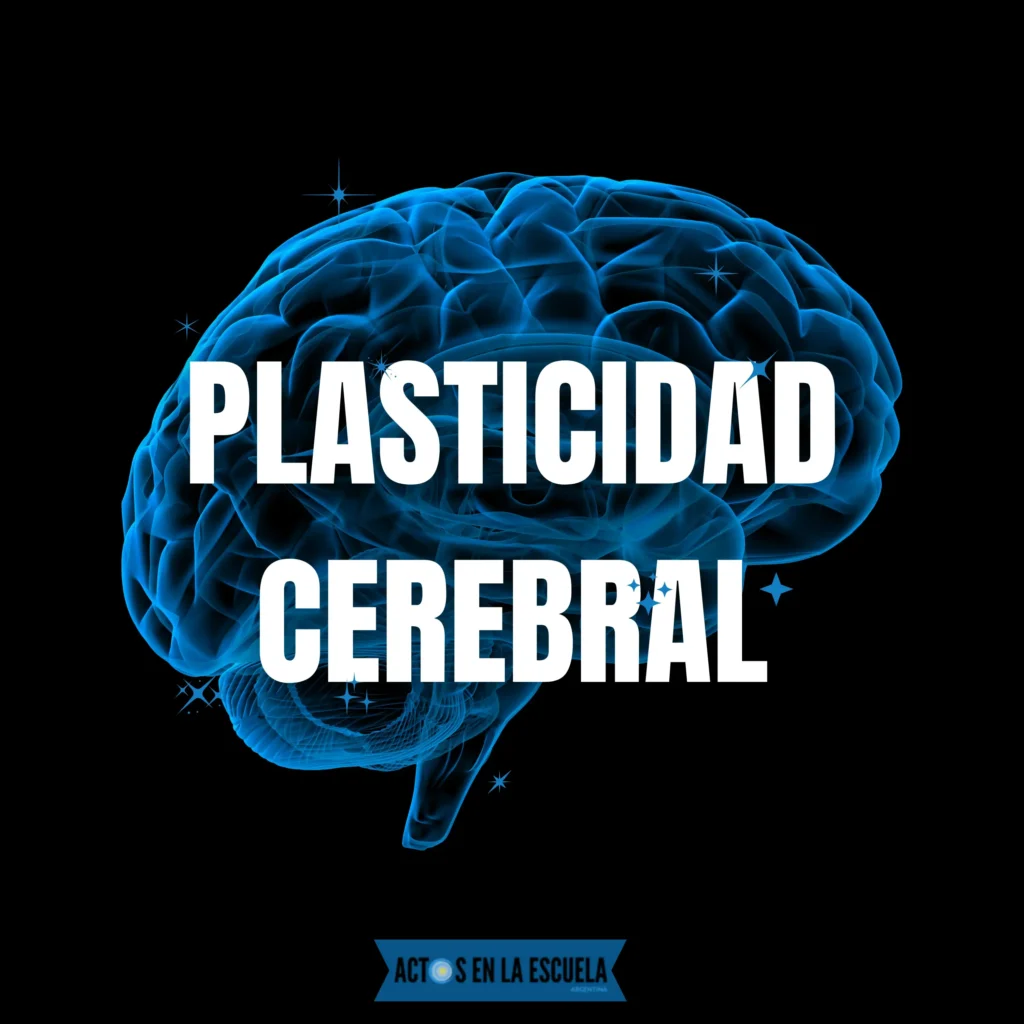 Plasticidad cerebral