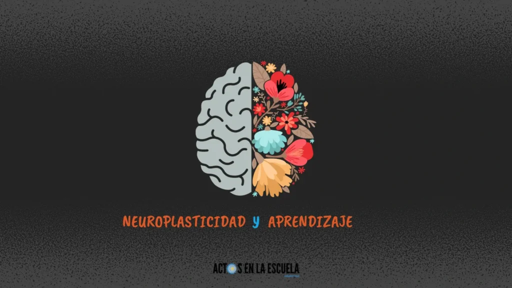 Neuroplasticidad y aprendizaje
