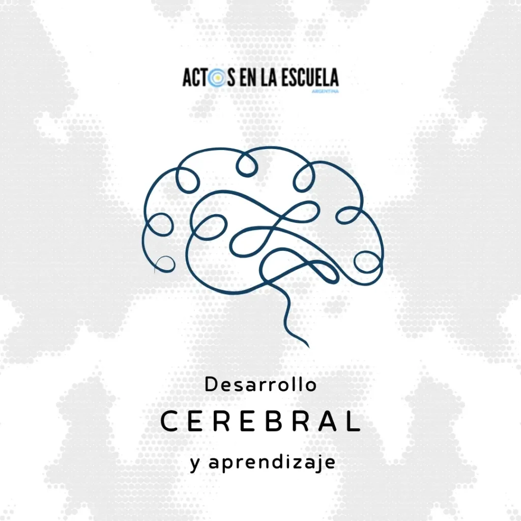 etapas del desarrollo cerebral
