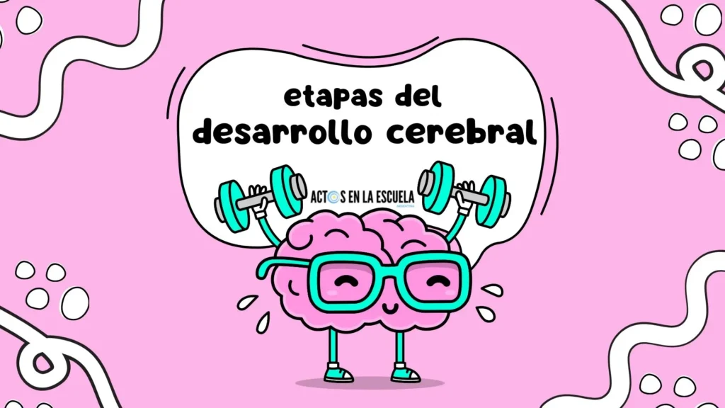 desarrollo cerebral y aprendizaje