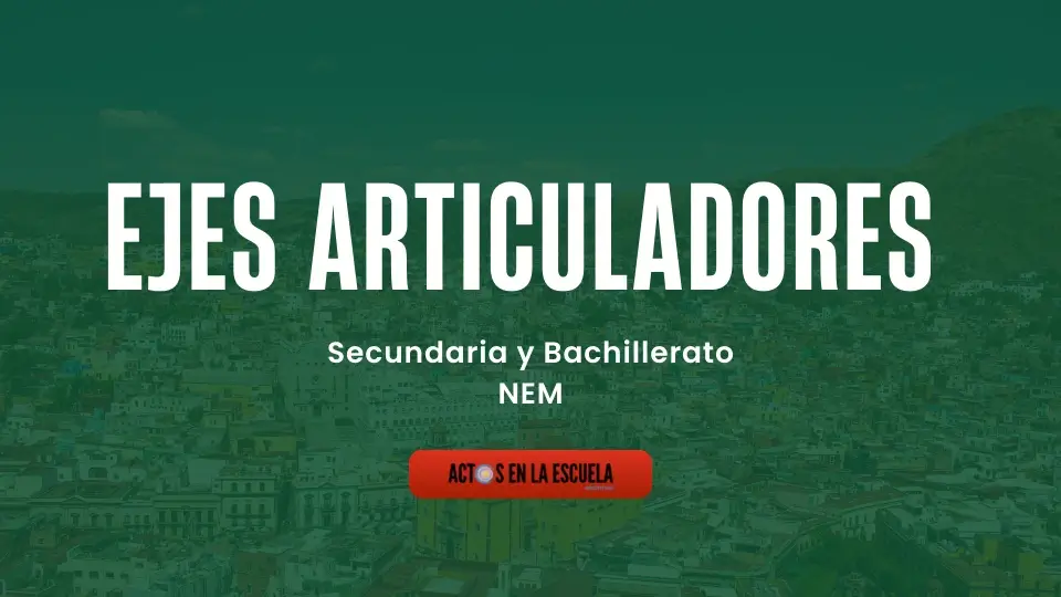 NEM en secundaria y bachillerato