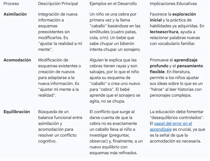 diferencias entre asimilación y acomodación cognitiva