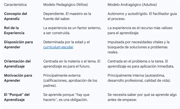Diferencias clave entre el modelo pedagógico y el andragógico