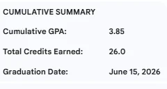 Modelo de Academic Summary
